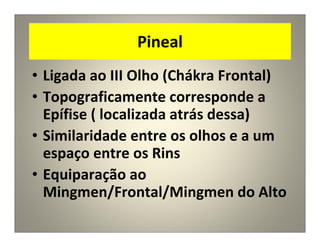 Pineal
• Ligada ao III Olho (Chákra Frontal)
• Topograficamente corresponde a
Epífise ( localizada atrás dessa)
• Similaridade entre os olhos e a um
espaço entre os Rins
• Equiparação ao
Mingmen/Frontal/Mingmen do Alto
 