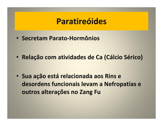 Paratireóides
• Secretam Parato-Hormônios
• Relação com atividades de Ca (Cálcio Sérico)
• Sua ação está relacionada aos Rins e
desordens funcionais levam a Nefropatias e
outros alterações no Zang Fu
 