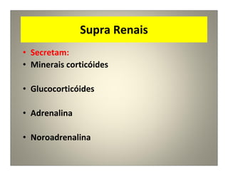 Supra Renais
• Secretam:
• Minerais corticóides
• Glucocorticóides
• Adrenalina
• Noroadrenalina
 