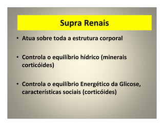 Supra Renais
• Atua sobre toda a estrutura corporal
• Controla o equilíbrio hídrico (minerais
corticóides)
• Controla o equilíbrio Energético da Glicose,
características sociais (corticóides)
 