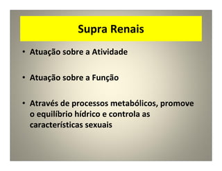 Supra Renais
• Atuação sobre a Atividade
• Atuação sobre a Função
• Através de processos metabólicos, promove
o equilíbrio hídrico e controla as
características sexuais
 