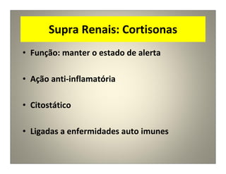 Supra Renais: Cortisonas
• Função: manter o estado de alerta
• Ação anti-inflamatória
• Citostático
• Ligadas a enfermidades auto imunes
 
