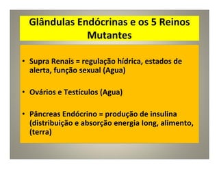 Glândulas Endócrinas e os 5 Reinos
Mutantes
• Supra Renais = regulação hídrica, estados de
alerta, função sexual (Agua)
• Ovários e Testículos (Agua)
• Pâncreas Endócrino = produção de insulina
(distribuição e absorção energia Iong, alimento,
(terra)
 