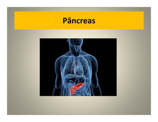 Pâncreas
 