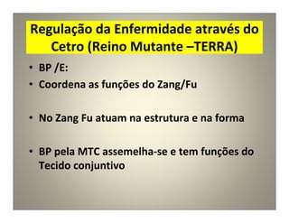 Regulação da Enfermidade através do
Cetro (Reino Mutante –TERRA)
• BP /E:
• Coordena as funções do Zang/Fu
• No Zang Fu atuam na estrutura e na forma
• BP pela MTC assemelha-se e tem funções do
Tecido conjuntivo
 