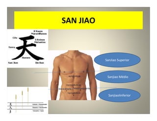 SAN JIAO
SanJiao Superior
Sanjiao Médio
SanjiaoIinferior
 