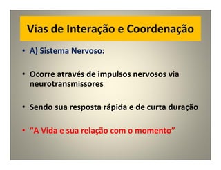 Vias de Interação e Coordenação
• A) Sistema Nervoso:
• Ocorre através de impulsos nervosos via
neurotransmissores
• Sendo sua resposta rápida e de curta duração
• “A Vida e sua relação com o momento”
 