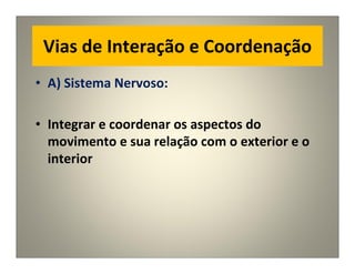 Vias de Interação e Coordenação
• A) Sistema Nervoso:
• Integrar e coordenar os aspectos do
movimento e sua relação com o exterior e o
interior
 