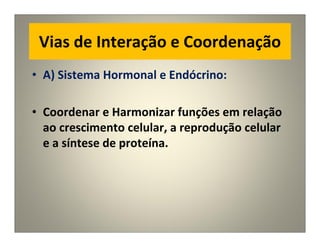 Vias de Interação e Coordenação
• A) Sistema Hormonal e Endócrino:
• Coordenar e Harmonizar funções em relação
ao crescimento celular, a reprodução celular
e a síntese de proteína.
 