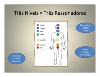 Três Níveis = Três Ressonadores
Hipotálamo
Hipófise
Pineal
Timo
Tireóide
ParatireódiePâncreas
Ovários
Testículos
 
