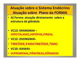 Atuação sobre o Sistema Endócrino
Atuação sobre Plano da FORMA
• A) Forma: atuação diretamente sobre a
estrutura da glândula
• VC13: SHANGWAI –
HIPOTÁLAMO,HIPÓFISE,PINEAL
• VC12: ZHONGWAI-
• TIREÓIDE,PARATIREÓIDE,TIMO
• VC10: XIAWAI-
• SUPRARENAL,PÂNCREAS,GÔNADAS
 