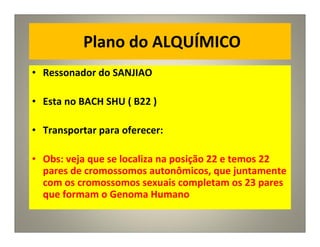 Plano do ALQUÍMICO
• Ressonador do SANJIAO
• Esta no BACH SHU ( B22 )
• Transportar para oferecer:
• Obs: veja que se localiza na posição 22 e temos 22
pares de cromossomos autonômicos, que juntamente
com os cromossomos sexuais completam os 23 pares
que formam o Genoma Humano
 
