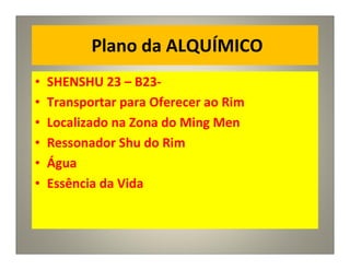 Plano da ALQUÍMICO
• SHENSHU 23 – B23-
• Transportar para Oferecer ao Rim
• Localizado na Zona do Ming Men
• Ressonador Shu do Rim
• Água
• Essência da Vida
 