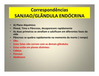Correspondências
SANJIAO/GLÂNDULA ENDÓCRINA
• A) Plano Alquímico:
• Pineal, Timo e Pâncreas, desaparecem rapidamente
• As duas primeiras se atrofiam e calcificam em diferentes fases da
vida
• Pâncreas se quebra rapidamente no momento da morte ( rompe)
• Obs:
• Estes fatos não correm com as demais glãndulas
• Estas estão em planos distintos:
• Cabeça
• Pescoço
• Abdômem
 