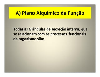 A) Plano Alquímico da Função
Todas as Glândulas de secreção interna, que
se relacionam com os processos funcionais
do organismo são:
 