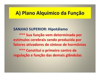 A) Plano Alquímico da Função
SANJIAO SUPERIOR: Hipotálamo
*** Sua função vem determinada por
estímulos cerebrais sendo produzida por
fatores ativadores de síntese de hormônios
*** Constitui o primeiro centro de
regulação e função das demais glândulas
 