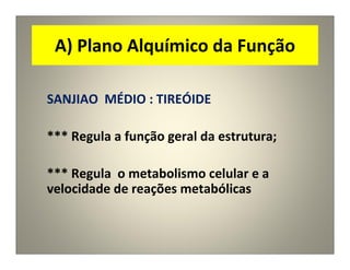 A) Plano Alquímico da Função
SANJIAO MÉDIO : TIREÓIDE
*** Regula a função geral da estrutura;
*** Regula o metabolismo celular e a
velocidade de reações metabólicas
 