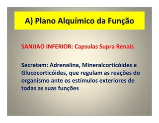 A) Plano Alquímico da Função
SANJIAO INFERIOR: Capsulas Supra Renais
Secretam: Adrenalina, Mineralcorticóides e
Glucocorticóides, que regulam as reações do
organismo ante os estímulos exteriores de
todas as suas funções
 