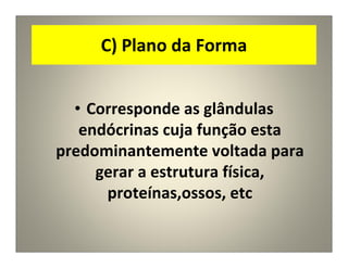 C) Plano da Forma
• Corresponde as glândulas
endócrinas cuja função esta
predominantemente voltada para
gerar a estrutura física,
proteínas,ossos, etc
 