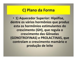 C) Plano da Forma
• 1) Aquecedor Superior: Hipófise,
dentre os vários hormônios que produz
esta os hormônios estimulantes do
crescimento (GH), que regula o
crescimento das Gônadas
(GONOTROFINAS) e PROLACTINAS, que
controlam o crescimento mamário e
produção de leite
 