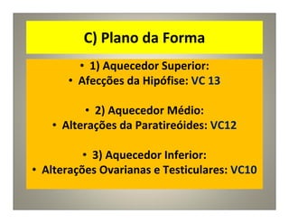 C) Plano da Forma
• 1) Aquecedor Superior:
• Afecções da Hipófise: VC 13
• 2) Aquecedor Médio:
• Alterações da Paratireóides: VC12
• 3) Aquecedor Inferior:
• Alterações Ovarianas e Testiculares: VC10
 