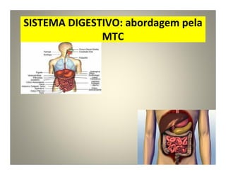 SISTEMA DIGESTIVO: abordagem pela
MTC
 