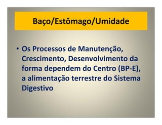 Baço/Estômago/Umidade
• Os Processos de Manutenção,
Crescimento, Desenvolvimento da
forma dependem do Centro (BP-E),
a alimentação terrestre do Sistema
Digestivo
 