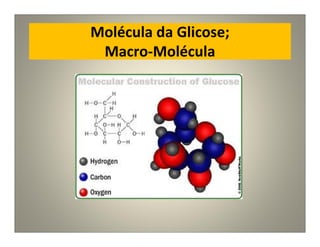 Molécula da Glicose;
Macro-Molécula
 