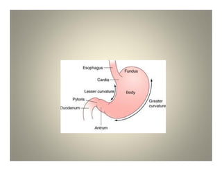 Acupuntura metabolica e chacras