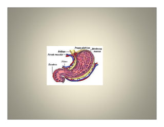 Acupuntura metabolica e chacras