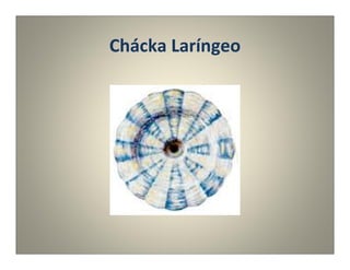 Chácka Laríngeo
 