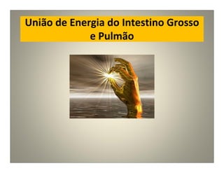 União de Energia do Intestino Grosso
e Pulmão
 