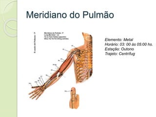 Meridiano do Pulmão
Elemento: Metal
Horário: 03: 00 às 05:00 hs.
Estação: Outono
Trajeto: Centrífug
 