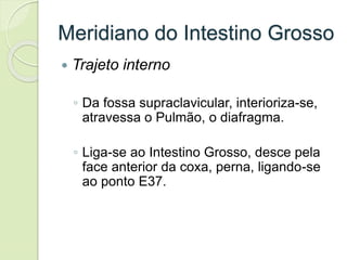 Meridiano do Intestino Grosso
 Trajeto interno
◦ Da fossa supraclavicular, interioriza-se,
atravessa o Pulmão, o diafragma.
◦ Liga-se ao Intestino Grosso, desce pela
face anterior da coxa, perna, ligando-se
ao ponto E37.
 