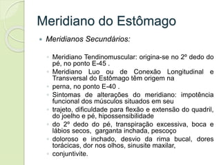 Meridiano do Estômago
 Meridianos Secundários:
◦ Meridiano Tendinomuscular: origina-se no 2º dedo do
pé, no ponto E-45 .
◦ Meridiano Luo ou de Conexão Longitudinal e
Transversal do Estômago têm origem na
◦ perna, no ponto E-40 .
◦ Sintomas de alterações do meridiano: impotência
funcional dos músculos situados em seu
◦ trajeto, dificuldade para flexão e extensão do quadril,
do joelho e pé, hipossensibilidade
◦ do 2º dedo do pé, transpiração excessiva, boca e
lábios secos, garganta inchada, pescoço
◦ doloroso e inchado, desvio da rima bucal, dores
torácicas, dor nos olhos, sinusite maxilar,
◦ conjuntivite.
 