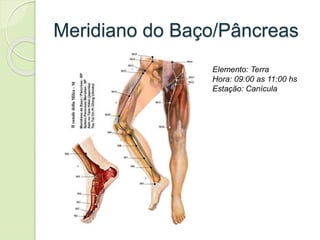 Meridiano do Baço/Pâncreas
Elemento: Terra
Hora: 09:00 as 11:00 hs
Estação: Canícula
 