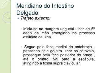 Meridiano do Intestino
Delgado
 Trajeto externo:
◦ Inicia-se na margem ungueal ulnar do 5º
dedo da mão emergindo no processo
estilóide da ulna.
◦ Segue pela face medial do antebraço ,
passando pela goteira ulnar no cotovelo,
prossegue pela face posterior do braço ,
até o ombro. Vai para a escápula,
atingindo a fossa supra clavicular.
 