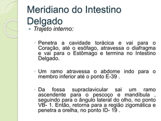Meridiano do Intestino
Delgado
 Trajeto interno:
◦ Penetra a cavidade torácica e vai para o
Coração, até o esôfago, atravessa o diafragma
e vai para o Estômago e termina no Intestino
Delgado.
◦ Um ramo atravessa o abdome indo para o
membro inferior até o ponto E-39 .
◦ Da fossa supraclavicular sai um ramo
ascendente para o pescoço e mandíbula ,
seguindo para o ângulo lateral do olho, no ponto
VB- 1. Então, retorna para a região zigomática e
penetra a orelha, no ponto ID- 19 .
 
