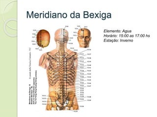 Meridiano da Bexiga
Elemento: Agua
Horário: 15:00 as 17:00 hs
Estação: Inverno
 