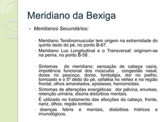 Meridiano da Bexiga
 Meridianos Secundários:
◦ Meridiano Tendinomuscular tem origem na extremidade do
quinto dedo do pé, no ponto B-67.
◦ Meridiano Luo Longitudinal e o Transversal: originam-se
na perna, no ponto B-58 .
◦ Sintomas do meridiano: sensação de cabeça vazia,
impotência funcional dos músculos , congestão nasal,
dores no pescoço, dorso, lombalgia, dor no joelho,
tornozelo e o 5º dedo do pé, cefaléia no vértex e na região
frontal, olhos amarelados, epistaxes, hemorroidas.
◦ Sintomas de alterações energéticas: dor pélvica, enurese,
retenção urinária, disúria distúrbios mentais.
◦ É utilizado no tratamento das afecções da cabeça, fronte,
nariz, olhos, região lombar,
◦ doenças febris e mentais, distúrbios hídricos e
imunológicos.
 