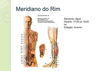 Meridiano do Rim
Elemento: Agua
Horário: 17:00 as 19:00
hs
Estação: Inverno
 