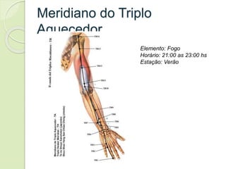 Meridiano do Triplo
Aquecedor
Elemento: Fogo
Horário: 21:00 as 23:00 hs
Estação: Verão
 