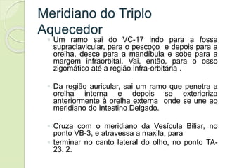 Meridiano do Triplo
Aquecedor
◦ Um ramo sai do VC-17 indo para a fossa
supraclavicular, para o pescoço e depois para a
orelha, desce para a mandíbula e sobe para a
margem infraorbital. Vai, então, para o osso
zigomático até a região infra-orbitária .
◦ Da região auricular, sai um ramo que penetra a
orelha interna e depois se exterioriza
anteriormente à orelha externa onde se une ao
meridiano do Intestino Delgado.
◦ Cruza com o meridiano da Vesícula Biliar, no
ponto VB-3, e atravessa a maxila, para
◦ terminar no canto lateral do olho, no ponto TA-
23. 2.
 