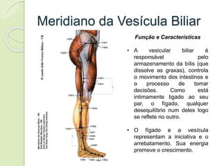 Meridiano da Vesícula Biliar
Função e Características
• A vesicular biliar é
responsável pelo
armazenamento da bílis (que
dissolve as graxas), controla
o movimento dos intestinos e
o processo de tomar
decisões. Como está
intimamente ligado ao seu
par, o fígado, qualquer
desequilíbrio num deles logo
se reflete no outro.
• O fígado e a vesícula
representam a iniciativa e o
arrebatamento. Sua energia
promove o crescimento.
 
