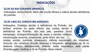 ACUPUNTURA TUNG - PONTOS LING GU E DA BAI.pdf