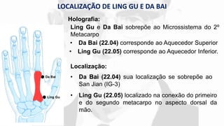ACUPUNTURA TUNG - PONTOS LING GU E DA BAI.pdf