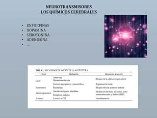 NEUROTRANSMISORES
LOS QUÍMICOS CEREBRALES
• ENFORFINAS
• DOPAMINA
• SEROTONINA
• ADENOSINA
• …
 