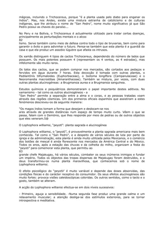 mágicas, incluindo o Trichocereus, porque “é a planta usada pelo diabo para enganar os
índios”. Mas, nos Andes, existe uma mistura estranha de catolicismo e de culturas
indígenas, que lhe atribuiu o nome de “San Pedro”, nome muito significativo já que São
Pedro possui as chaves do paraíso...
No Peru e na Bolívia, o Trichocereus é actualmente utilizado para tratar certas doenças,
principalmente as perturbações mentais e o alcoo
82
lismo. Serve também como meio de defesa contra todo o tipo de bruxarias, bem como para
garantir o êxito e para adivinhar o futuro. Pensa-se também que esta planta é a guardiã da
casa e que ela produz um assobio lúgubre que afasta os intrusos.
Os xamãs distinguem 4 tipos de cactos Trichocereus, dependendo do número de lados que
possuem. Os mais potentes possuem 4 (representam os 4 ventos, as 4 estradas), mas
infelizmente são muito raros.
Os talos dos cactos, que se podem comprar nos mercados, são cortados aos pedaços e
fervidos em água durante 7 horas. Esta decocção é tomada com outras plantas, o
PedilantInís tilhymaloides (Euphorbiaceae), o Isotoma longiflora (Campanulaceae) e o
Neoromandia macrostibas (Amaranthaceae). Também se mistura, por vezes, com duas
outras plantas alucinogéneas: a Brugmansia aurea e a Brugmansia sanguínea.
Estudos químicos e psiquiátricos demonstraram o papel importante destes aditivos. No
xamanismo - tal como os outros alucinogéneos - a
“San Pedro” permite a separação entre a alma e o corpo, e as pessoas tratadas voam
através das regiões cósmicas. Um dos primeiros oficiais espanhóis que assistiram a estes
fenómenos descreveu-os da seguinte maneira:
“Os magos índios tomam a forma que desejam e deslocam-se nos
ares através de grandes distâncias num espaço de tempo muito curto. Vêem o que se
passa, falam com o Demónio, que lhes responde por meio de pedras ou de outros objectos
que eles veneram.5@
O Lophophora williamsi, “peyotl”: planta sagrada e alucinogénea
O Lophophora williamsi, o “peyotI”, é provavelmente a planta sagrada americana mais bem
conhecida. Tal como o “San Pedro”, e a despeito de vários séculos de luta por parte da
igreja e da administração, esta planta é ainda muito utilizada pelos Mexicanos, e o comércio
dos botões de mescal é ainda florescente nos mercados da América Central e do México.
Todos os anos, após a estação das chuvas e da colheita do milho, organizam a festa do
“peyoti” para comemorar esta planta, que permitiu ao
83
grande chefe Majakugay, há vários séculos, combater os seus inúmeros inimigos e fundar
um império. Todos os objectos das tropas dispersas de Majakugay foram destruídos, e o
deus transformou-os numa planta maravilhosa, que conhecemos sob o nome de
Lophophora williamsi.
O efeito psicológico do “peyotV’ é muito variável e depende das doses absorvidas, das
condições físicas e do carácter receptivo do consumidor. Os seus efeitos alucinogéneos são
muito fortes: provoca visões caleidoscópicas coloridas. Os outros sentidos, como o tacto e o
gosto, também se alteram.
A acção do Lophophora willianisi efectua-se em dois níveis sucessivos:
- Primeiro, aguça a sensibilidade. -Numa segunda fase produz uma grande calma e um
relaxamento muscular; a atenção desliga-se dos estímulos exteriores, para se tornar
introspectiva e meditativa.
 