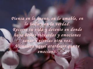 Piensa en lo bueno, en lo amable, en lo bello y en la verdad. Recorre tu vida y detente en donde haya bellos recuerdos y emociones sanas y vívelas otra vez. Visualiza aquel atardecer que te emocionó. 