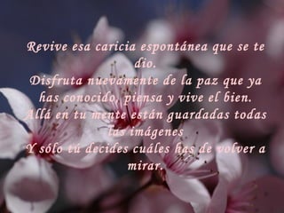 Revive esa caricia espontánea que se te dio. Disfruta nuevamente de la paz que ya has conocido, piensa y vive el bien. Allá en tu mente están guardadas todas las imágenes Y sólo tú decides cuáles has de volver a mirar. 